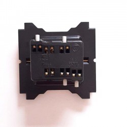 20210715_101935_resized_trasera