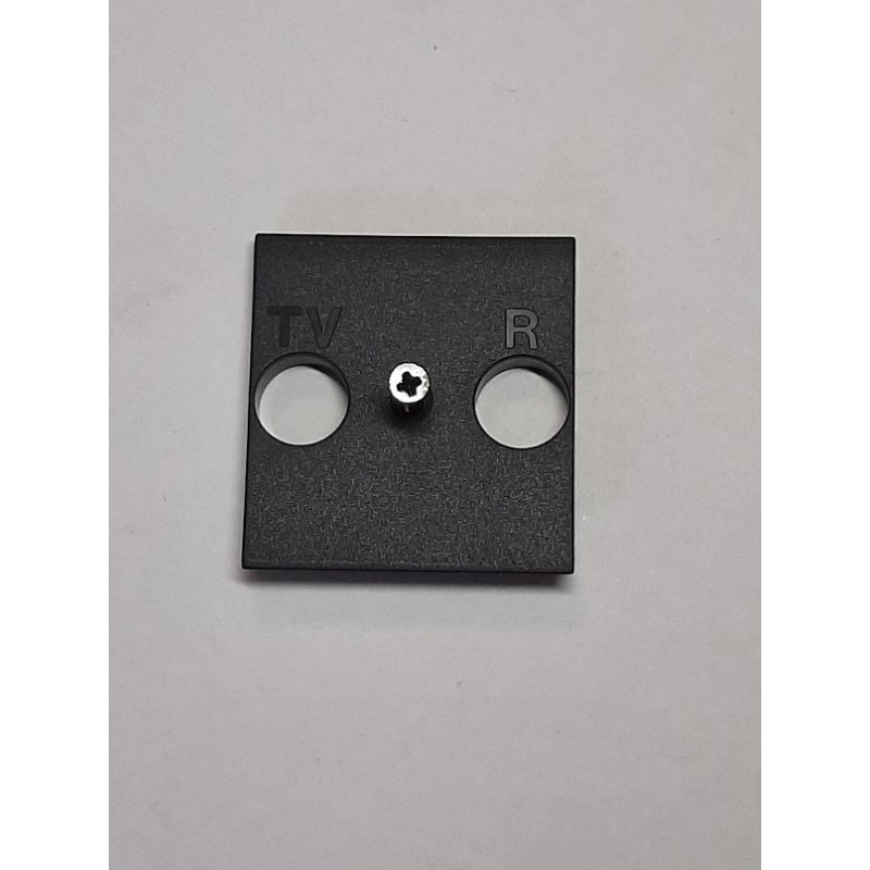 frontal-tv-r-living-bticino-L4950